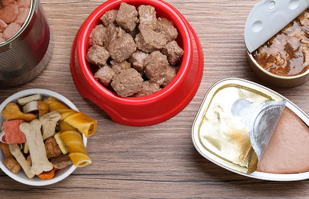 pet foods and treats