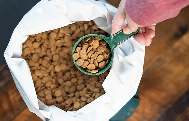 scooping dog food out of a bag